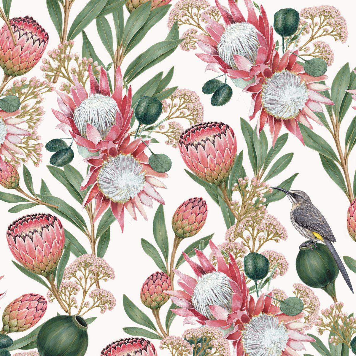 King Protea – detail of illustrated gift wrap pattern by Héni Andrag for The Blom Collective
