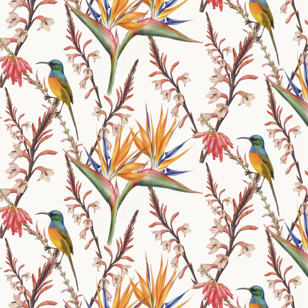 Kirstenbosch – detail of illustrated gift wrap pattern by Héni Andrag for The Blom Collective